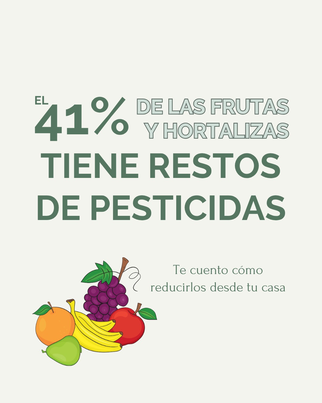 Publicación de Instagram 1